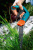 Ножницы для травы поворотные Gardena Comfort 360°